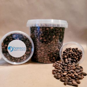 Hareco - Cedernoten