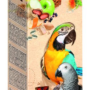 Vitapol Smakers Snack Nut and Fruit XXL Large Parrots