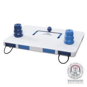 Move2Win Strategisch Spel