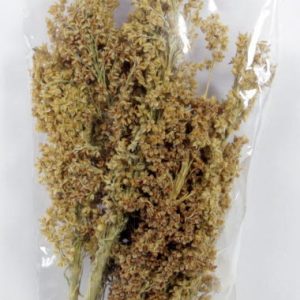Esve Mix & Play Corn Grass 1 st.