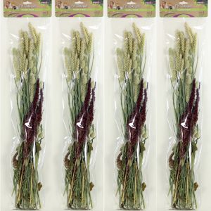 Pet Bouquet Knabbelstruik
