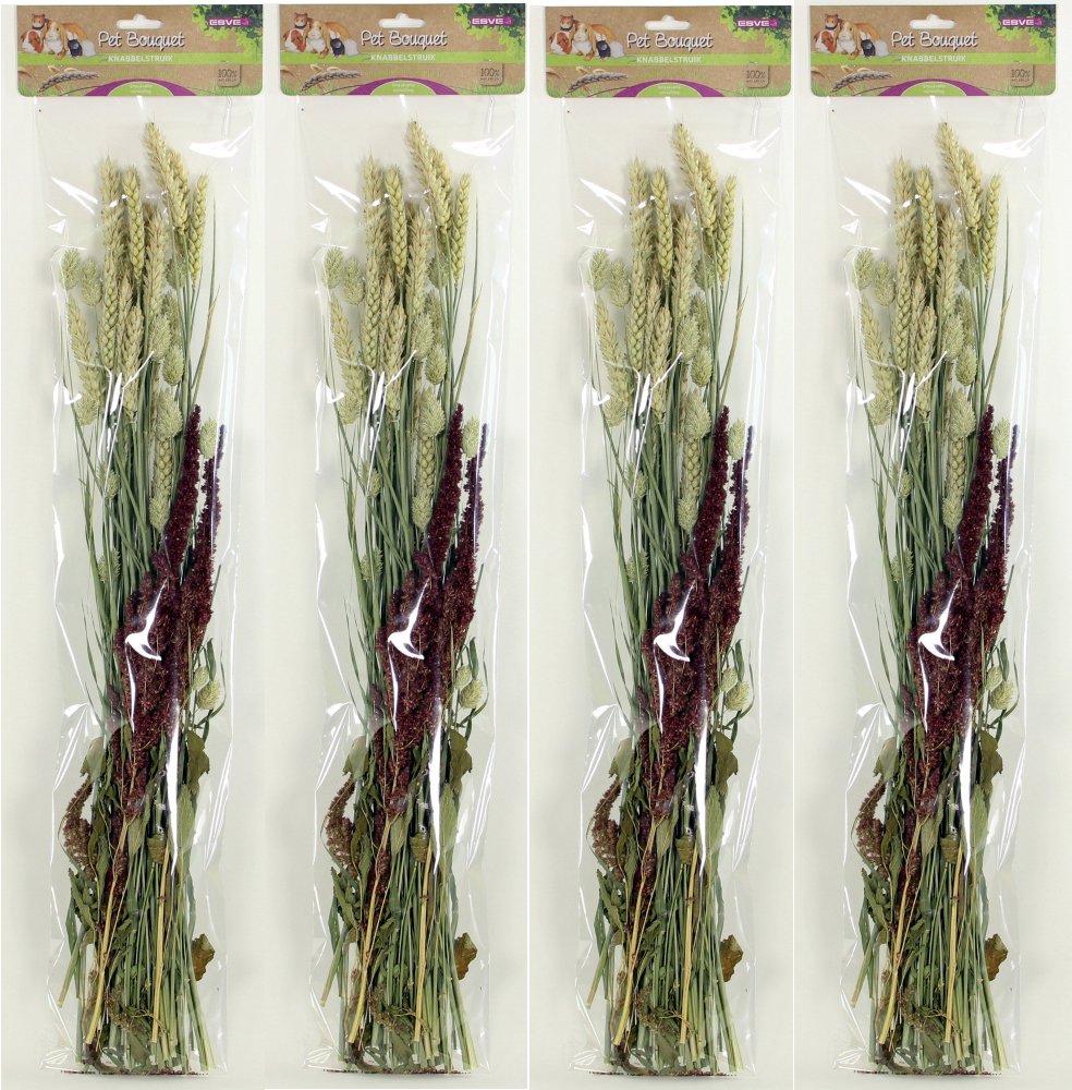 Pet Bouquet Knabbelstruik