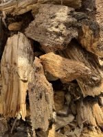 Hareco Vermolmd hout